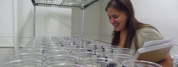 Student smiling at an array of cups containing snails